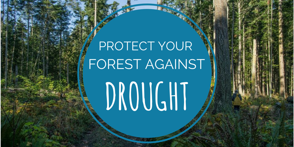 Drought and your forest - Northwest Natural Resource Group