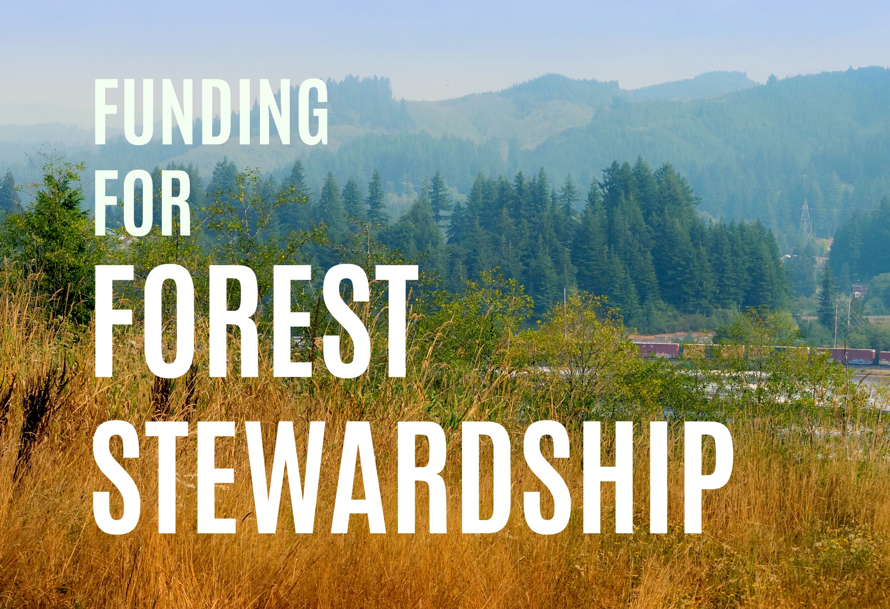 FUNDING FOR FOREST STEWARDSHIP – Northwest Natural Resource Group