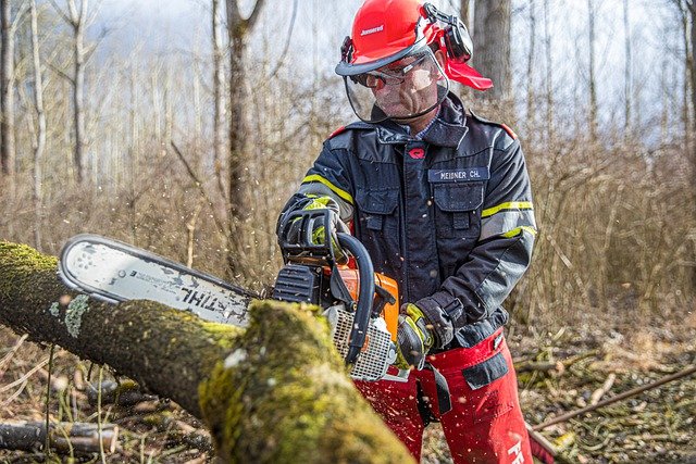 Level 2 Chainsaw Training Course -Arbotrim Training