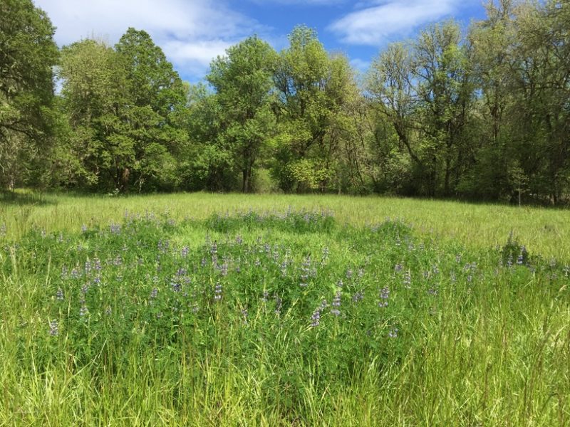 Home - Northwest Natural Resource Group