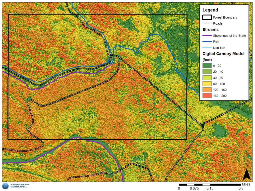 Northwest Natural Resource Group – Leaders in Ecological Forestry